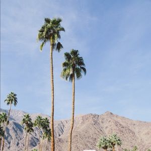 Meet your Posher, Clarisse